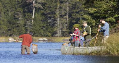学生们在独木舟上，一个学生带着网在小溪里涉水.