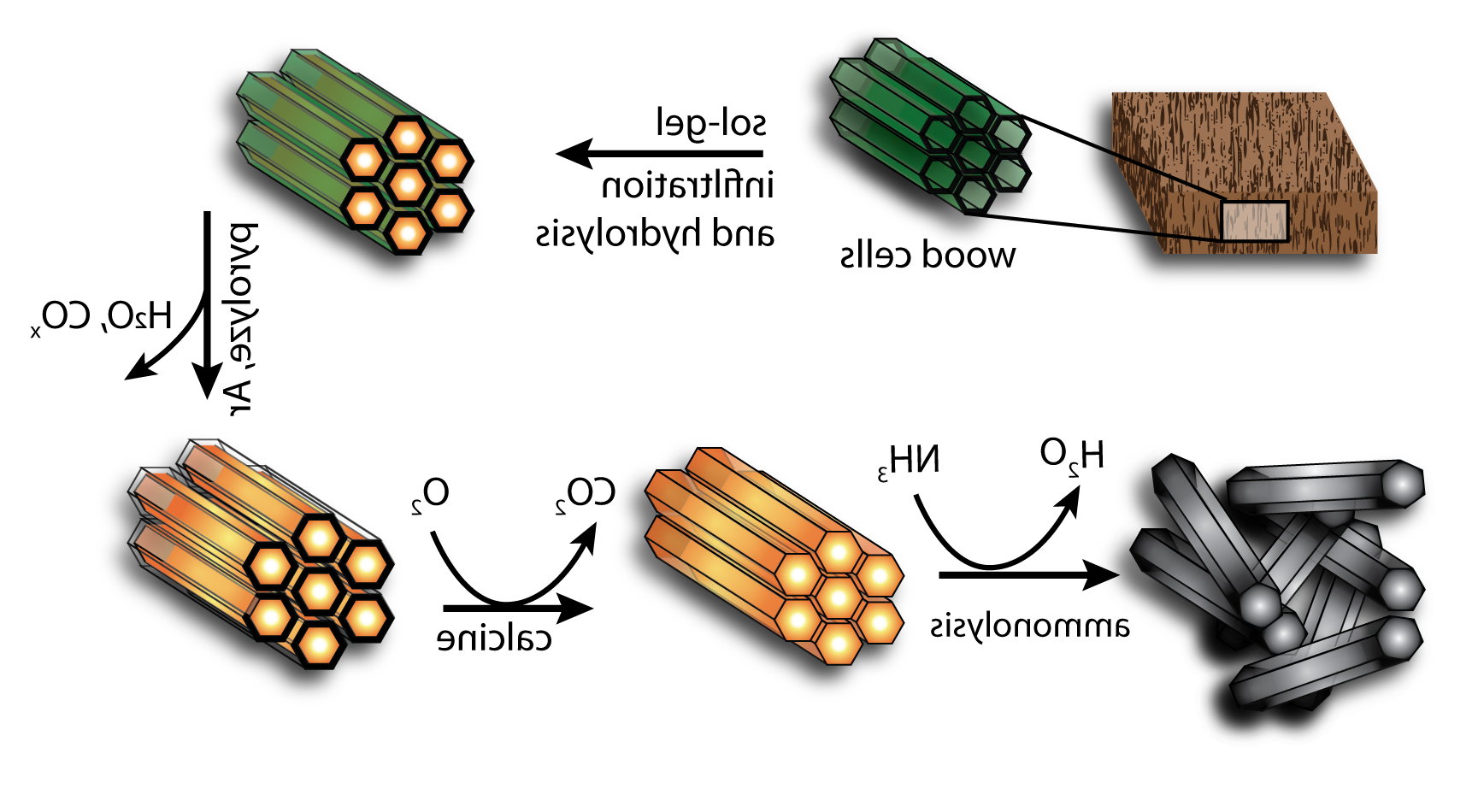 无机氧化物木材细胞的反生物特征模板.