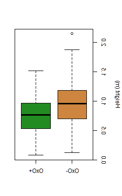 图5:养 Common Garden地块中OxO-(棕色)和OxO+(绿色)树木的高度比较.