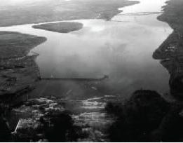 尼亚加拉河守护者水牛的黑白图像