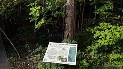 张贴的信息标志关于北方硬木森林放置在北方硬木森林 